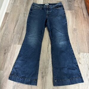 Lane Bryant Women's Blue Flared Jeans